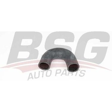 BSG BSG 25-720-044 ALBEA-PALIO TURBO HORTUMU
