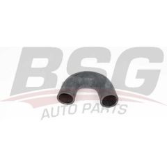 BSG BSG 25-720-044 ALBEA-PALIO TURBO HORTUMU