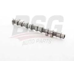 BSG 25-108-006 FIAT SLX/DOĞAN KARTAL/ŞAHİN S EKSANTRIK MİLİ SLX  (DÖKÜM)