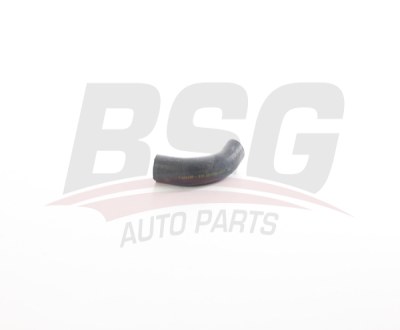 BSG BSG 25-720-083 DOBLO SU POMPA HORTUMU