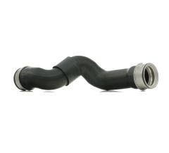 BSG BSG 60-720-036 W203 TURBO HORTUMU SAG