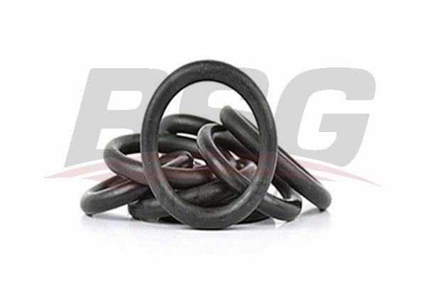 BSG BSG 30-922-074 FOCUS EMME MANIFOLD ORINGI TAKIM
