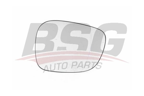 BSG 15-910-001 BMW X1 E84-X3 F25 AYNA CAMI SAG