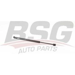 BSG BSG 15-980-076 2F45 BAGAJ AMORTISÖRÜ