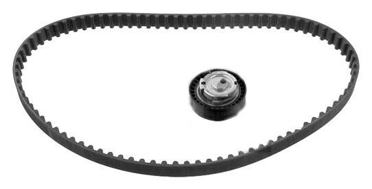 EKSANTRİK GERGİ KİTİ 096x173 DACIA LOGAN 04> SANDERO 08> DOKKER 13> 1.4 K7J 1.6 K7M