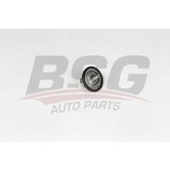 BSG BSG 16-125-006 AVEO T250/T255 TERMOSTAT 88 °C