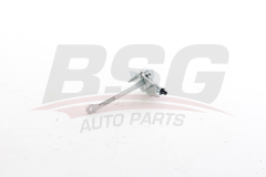BSG BSG 25-975-012 TEMPRA-TIPO KAPI GERGISI ARKA SAG-SOL