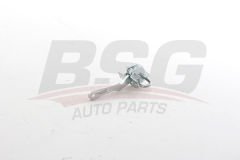 BSG BSG 25-975-015 DUCAT-BOXER-JUMPER KAPI GERGISI ÖN SAG-SOL