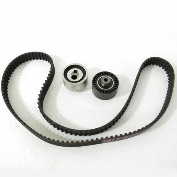 PSA 0831.R7 EKSANTRİK GERGİ KİTİ 140x254 PEUGEOT P206-306-PARTNER-EXPERT-BERLINGO-JUMPY-SCUDO-COROLLA 1.9D 98 - DW8 T