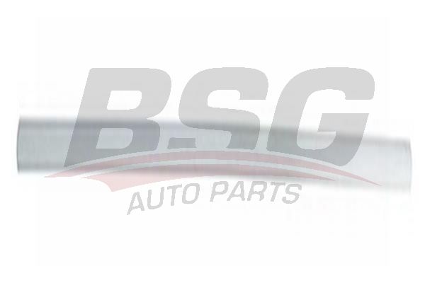 BSG BSG 30-924-046 MONDEO KAPI BANDI ÖN SAG (ASTARLI)