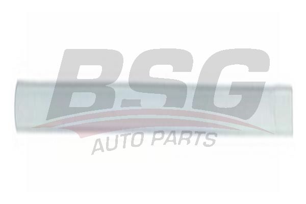 BSG BSG 30-924-049 MONDEO KAPI KUSAGI ARKA SOL (ASTARLI)