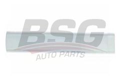 BSG BSG 30-924-049 MONDEO KAPI KUSAGI ARKA SOL (ASTARLI)