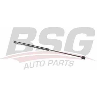 BSG BSG 15-980-065 FREELANDER 1 BAGAJ AMORTISÖRÜ