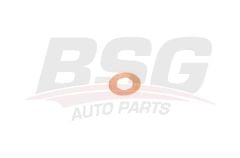 BSG BSG 30-995-048 TRANSIT V348/V362/V363/RANGER 12- ENJEKTÖR ALT PULU BAKIR
