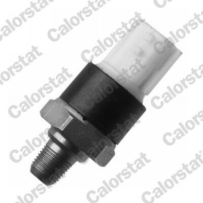 VERNET OS3630 YAĞ BASINÇ MÜŞÜRÜ CAPTUR I 13> MEGANE III 09> MEGANE IV 15> KADJAR 15>CLIO IV 12> LAGUNA III 07>15 DUSTER 13>18 LOGAN II 12> 0.9TCe 1.2Tce 1.3Tce 1.4Tce 1.6SCe 2.0 16v