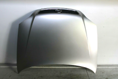OE-OPEL 39169009 ASTRA K MOTOR KAPUTU