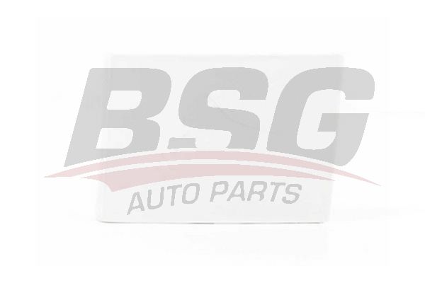 BSG BSG 30-922-058 FOCUS ÇEKI DEMIR KAPAGI ARKA