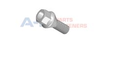 ANB B17F122522PG BİJON CİVATASI FIAT DOBLO Y.M CITROEN-PEUGEOT-OPEL-FORD DELİKLİ