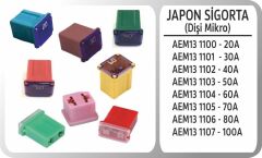 AEM13 1107 JAPON SIGORTA DISI MIKRO 100A