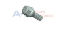 ANB B19R125025Z 19DR1250 BİJON CİVATASI GALVANİZ DACIA-NISSAN-RENAULT M12X1.50X23