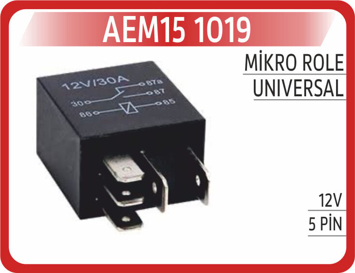 AEM15 1019 MİKRO ROLE 12V 5PİN
