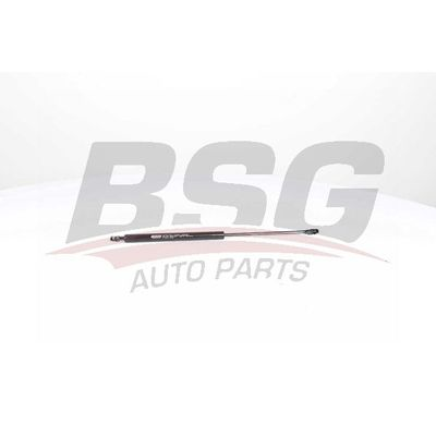 BSG BSG 15-980-004 E36 MOTOR KAPUT AMORTISÖRÜ