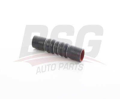 BSG BSG 25-720-110 ALBEA-PALIO TURBO HORTUMU