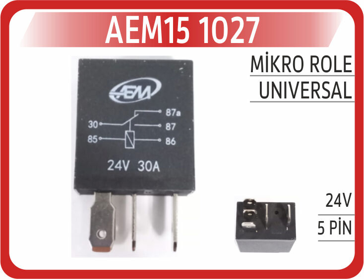 AEM15 1027 MİKRO ROLE 24V 5PİN