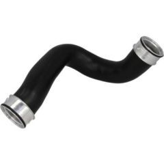 BSG BSG 60-720-025 SPRT-215-313-515 CDI TURBO HORTUMU SAG