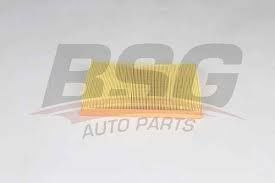 BSG BSG 90-135-037 PASSAT-TIGUAN-ARTEON HAVA FILTRESI E1306L