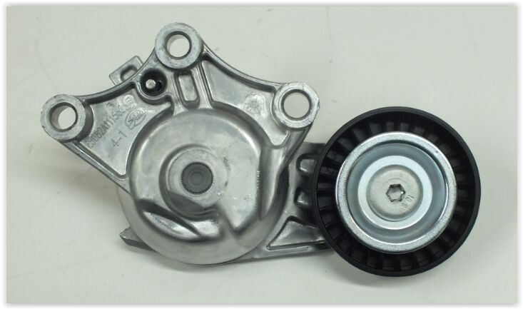 PSA 1631481580 ALTERNATOR GERGI RULMANI P308 C3 DS3 09 > P508 P3008 P5008 C4 C5 BERLINGO DS4 10 > P208 12 > 1.6 HDI