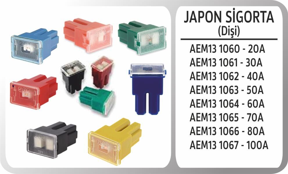 AEM13 1065 JAPON SIGORTA DISI 70A