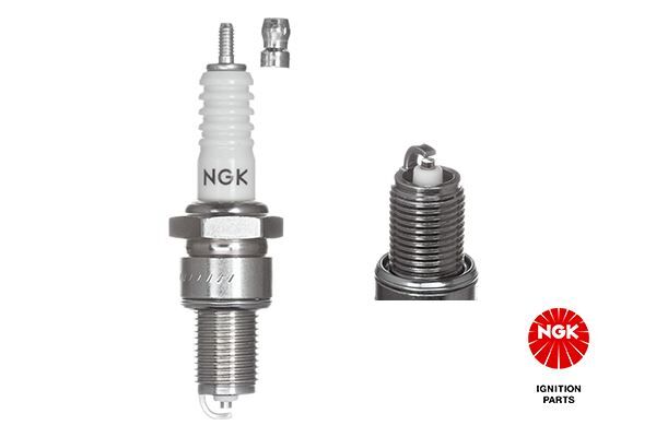 NGK 7811 ATESLEME BUJISI W8DC EA 0.8mm RENAULT TWINGO 92> R9 89> 1.4 CLIO II 98> 1.2 ALFA ROMEO AUDI BMW LA DA MAZDA PEUGEOT VW TOYOTA