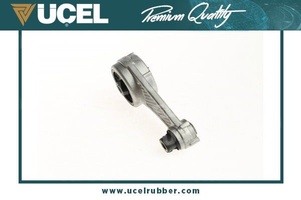 UCEL S10461 MOTOR TAKOZU ARKA R19 CLIO KANGOO EXPRESS 1.2 1.4 1.9D