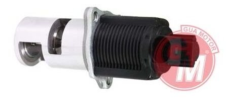 GUA 41505 EGR VALFİ RENAULT CLIO II 98> KANGOO 98> MEGANE II 02> CLIO III 05> 1.5dCi MASTER II 01>10 MOVANO 0 1> LAGUNA II 01> 2.2dCi / NISSAN MICRA 1.5L K9K K12 03-10