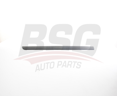 BSG BSG 75-924-019 MEGANE II KAPI BANDI ÖN SOL ARMASIZ