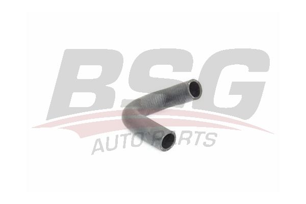 BSG BSG 30-720-231 FIESTA/FOCUS/C-MAX EGR SOGUTUCU HORTUMU 1333609