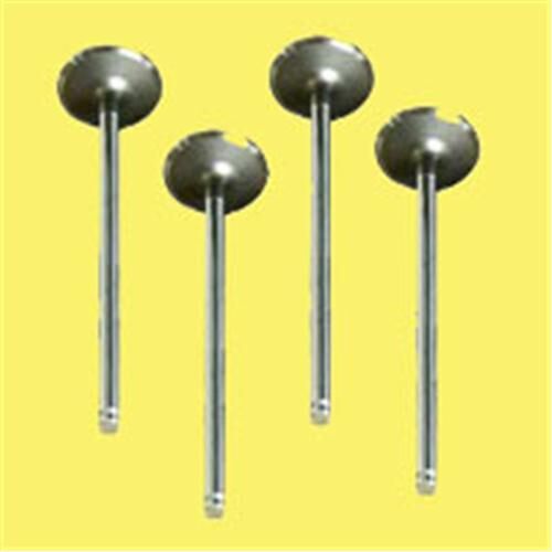 GUNES 4629-4630 SUBAP EMME EGZOZ R11 FLASH 1700-R21 MNGR 8V IN-4/EX-4