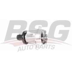 BSG BSG 15-500-040 LAND ROVER RANGE ROVER  SPORT- DISCOVERY IV DEVIRDAIM