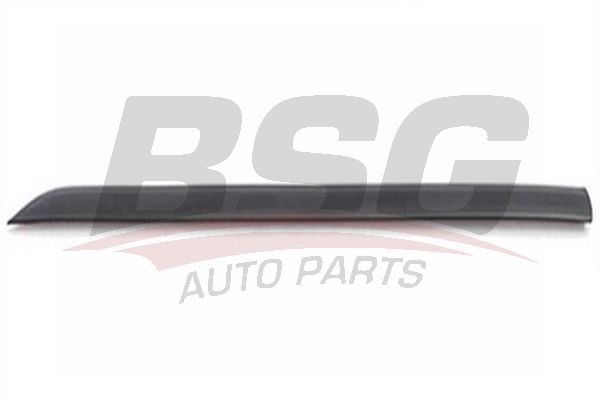 BSG BSG 30-924-002 FOCUS KAPI BANDI ÖN SAG