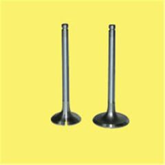 GUNES 6014-6015 EMME EGZOZ SUBAP TAKIM POLO-GOLF4-5-JETTA-PASSAT-TIGUAN AHW-BBY-BKY-BAG-BLF-BLP-BMY-BCB-CAVA-CAXA