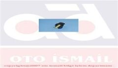 TPART 31204 TEVZİ MAKARASI RENAULT R11 FLASH 1.7