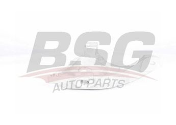 BSG 16-330-009 CHEVROLET CAPTIVA B ANTARA AKS TASIYICI ÖN SAG