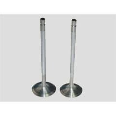 SUBAP EMME EGZOZ FOCUS III 11>17 FIESTA 08>17 COURIER 14>B-MAX 1.5-.16 TDCI VOLVO C30 S40 II S60 II V50 D2 07>12 P207-P308-P508-C3-C4-C5-DS3-DS4-DS5 1.6HDI Euro5 8V IN-4/EX-4