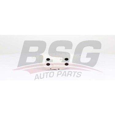 BSG BSG 15-506-017 F20 LCI-F21 LCI-F52-2F45-F46-X1 E84-X1 F49-X2 F39 YAG RADYATÖRÜ