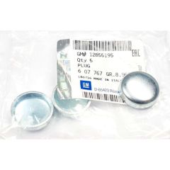 OE-OPEL 12855195 CORSA C CORSA D ASTRA H ASTRA J VECTRA C INSIGNIA A INSIGNIA B MERIVA A MERIVA B ZAFIRA B ZAFIRA C CAPTIVA BLOK SU TAPASI ÇAP 25 mm