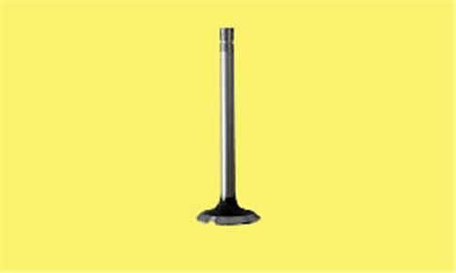 GUNES 4572-4573 SUBAP EMME EGZOZ C3-P107-P207-P307 1.4i 16V IN-8/EX-8