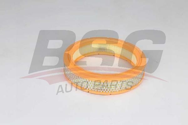 BSG BSG 25-135-012 M131 HAVA FILTRESI KÜÇÜK TIP