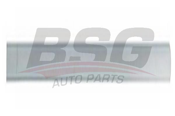 BSG BSG 30-924-048 MONDEO KAPI BANDI ARKA SAG (ASTARLI)