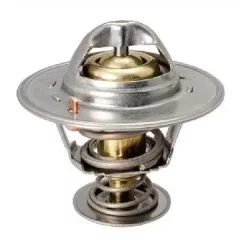 BSG BSG 16-125-008 CAPTIVA B CRUZE ORLANDO TERMOSTAT 82 °C1